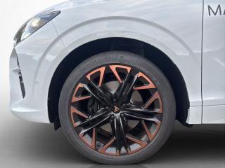 Cupra Terramar VZ – image 12 of 16
