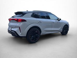 Cupra Terramar VZ – image 15 of 16