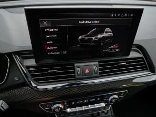 Audi SQ5 Basis – image 20 of 24