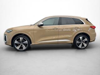 Audi SQ5 – image 3 of 17