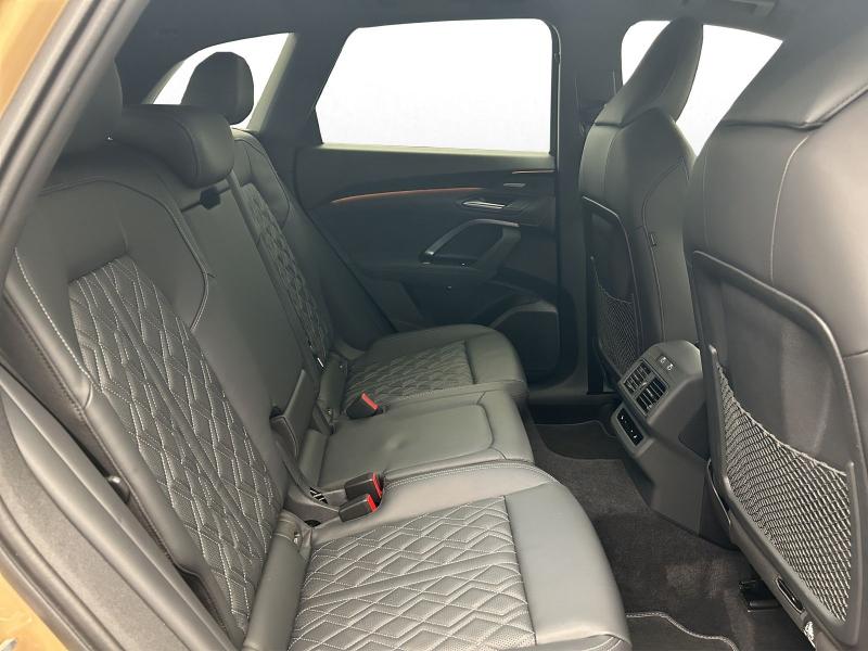 Audi SQ5 – image 16 of 17