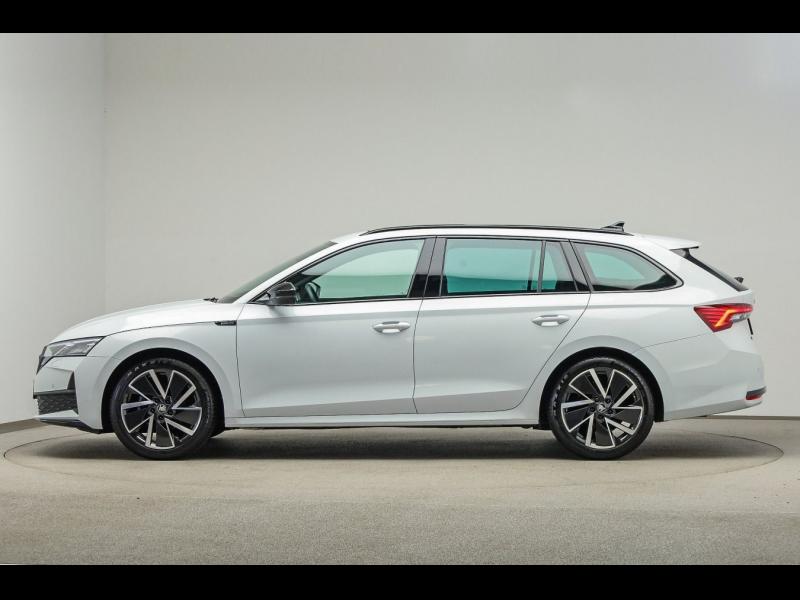 Škoda Octavia Sportline – Bild 3 von 25