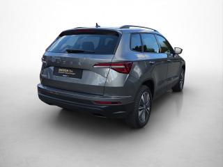 Škoda Karoq Tour – image 18 of 24