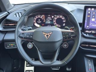 Cupra Terramar – image 8 of 15