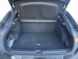 Cupra Terramar – image 10 of 15