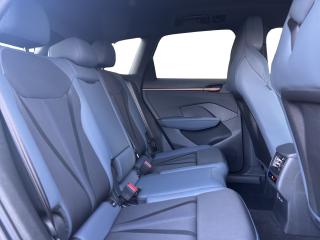 Cupra Terramar – image 13 of 15