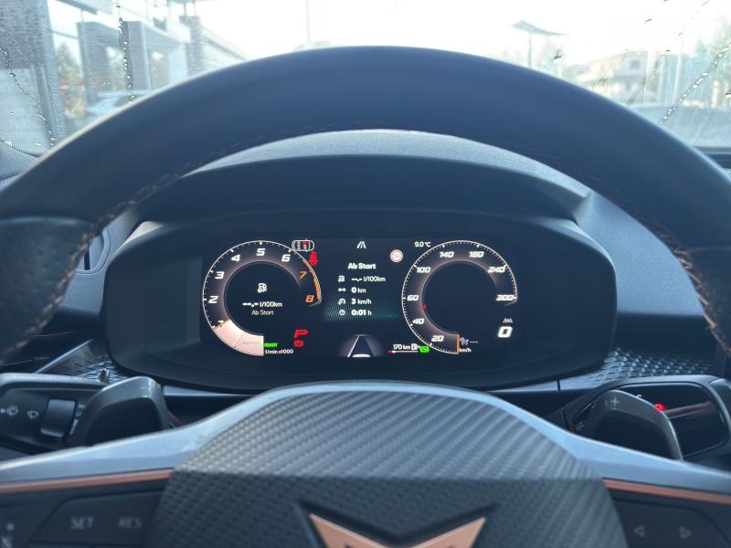 Cupra Terramar – image 9 of 15
