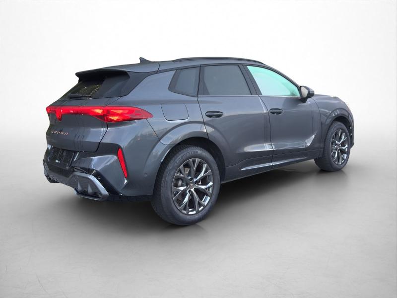 Cupra Terramar – image 14 of 15