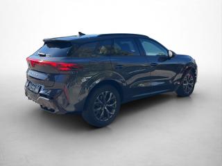 Cupra Terramar – image 14 of 15