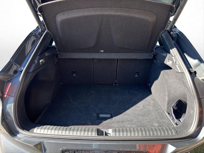 Cupra Terramar – image 10 of 15