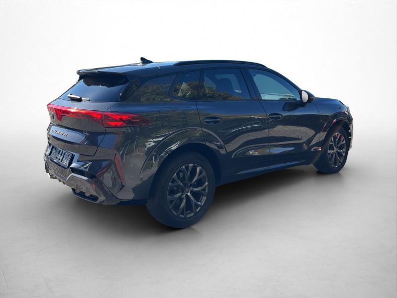 Cupra Terramar – image 14 of 15