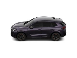 Cupra Terramar VZ – image 4 of 8