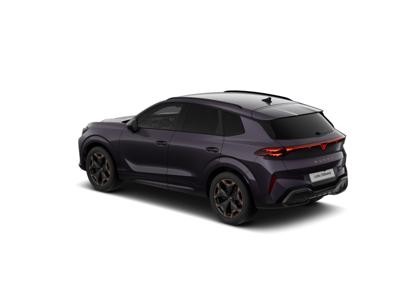 Cupra Terramar VZ – image 3 of 8