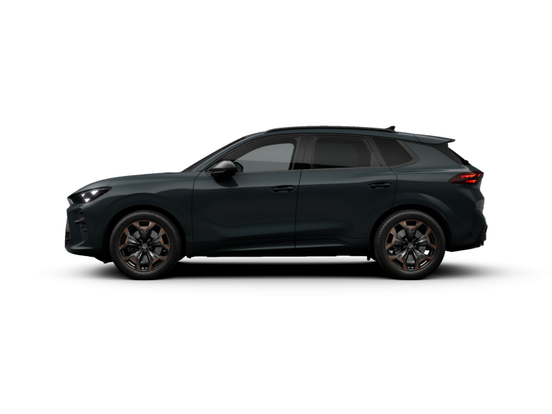 Cupra Terramar – image 5 of 10
