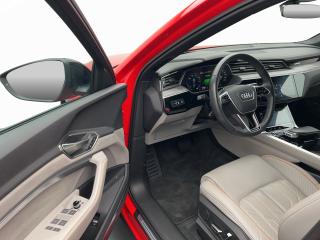 Audi Q8 e-tron S line – image 14 of 17