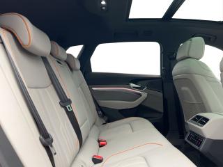 Audi Q8 e-tron S line – image 15 of 17
