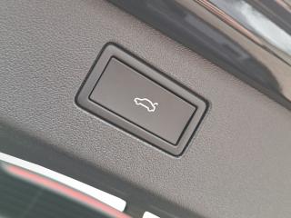 Volkswagen Tiguan LIFE – image 12 of 24