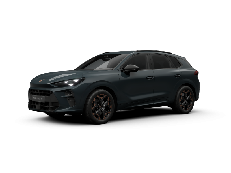 Cupra Terramar – image 1 of 10