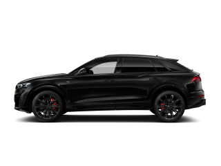 Audi Q8 S line – Bild 5 von 10