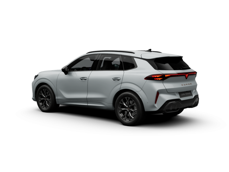 Cupra Terramar – image 4 of 10
