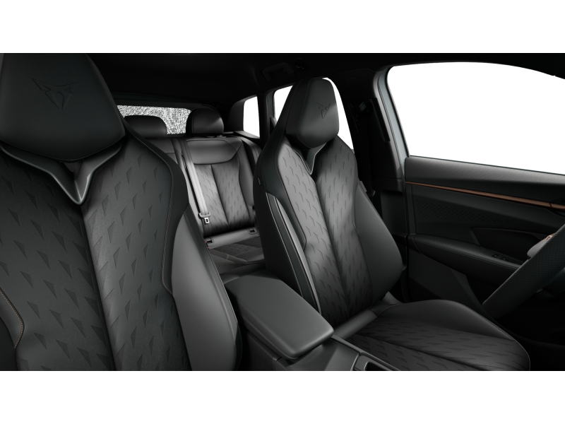 Cupra Terramar – image 10 of 10